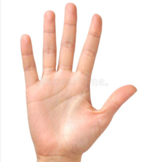 The five finger rule